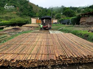 From Raw Bamboo Pole to Precision Slat