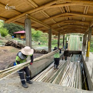 From Raw Bamboo Pole to Precision Slat