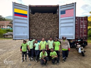 Guadua Bamboo Slats Shipped to the USA for Industrial Lamination