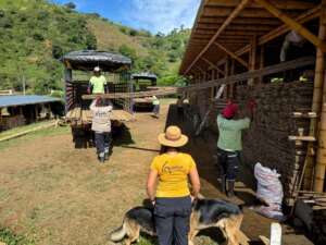 Guadua Bamboo Slats Shipped to the USA for Industrial Lamination