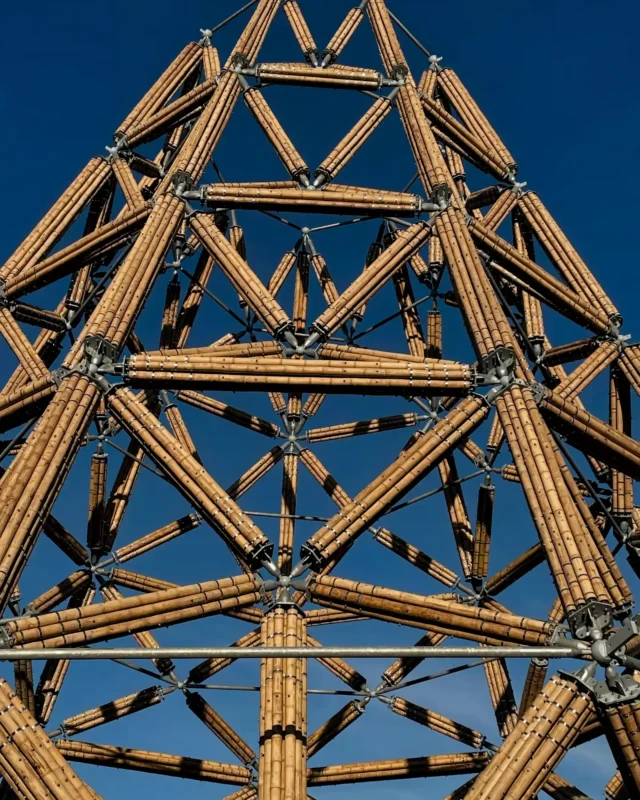 Construction of Guadua Bamboo Tower for Zoo in Belgium
