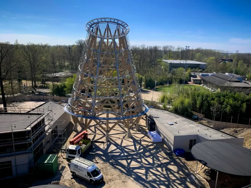 Construction of Guadua Bamboo Tower for Zoo in Belgium