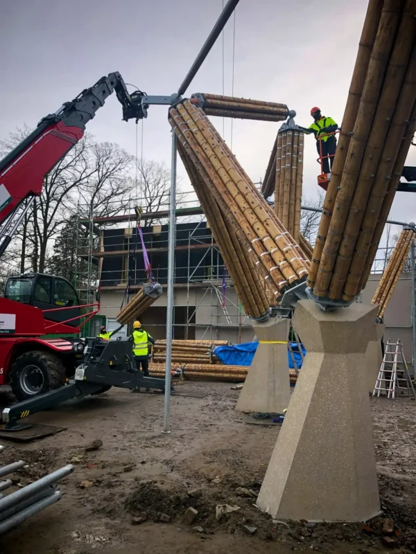 Construction of Guadua Bamboo Tower for Zoo in Belgium