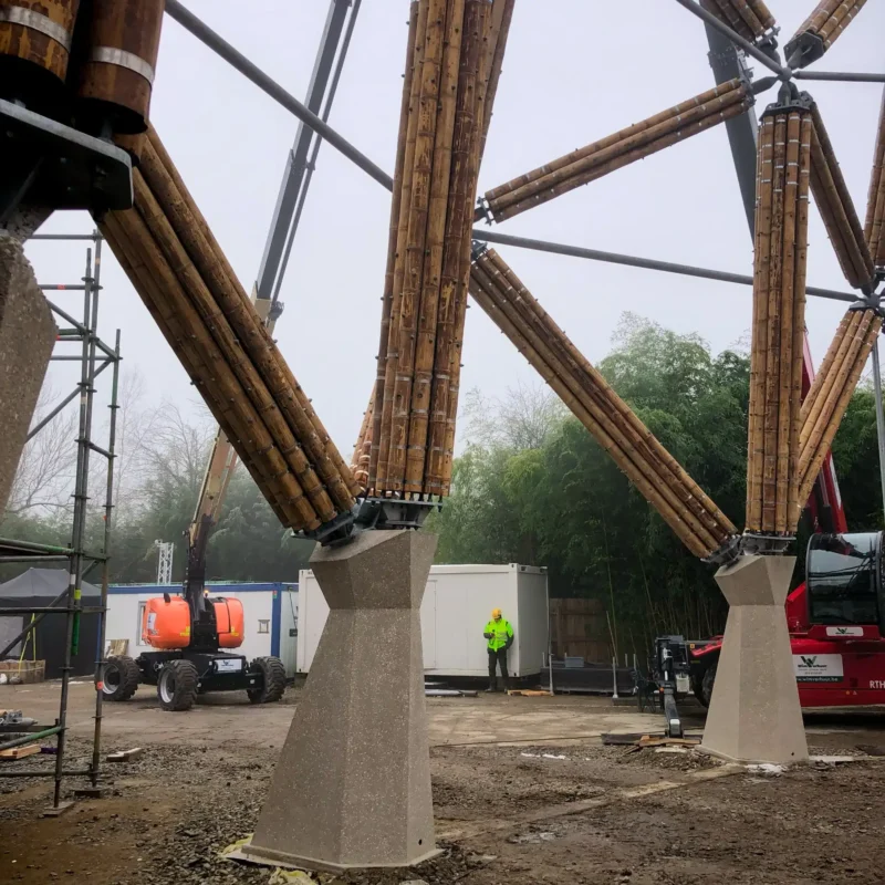 Construction of Guadua Bamboo Tower for Zoo in Belgium
