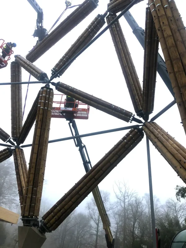 Construction of Guadua Bamboo Tower for Zoo in Belgium