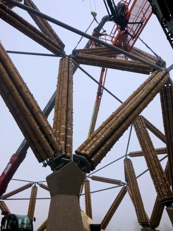 Construction of Guadua Bamboo Tower for Zoo in Belgium