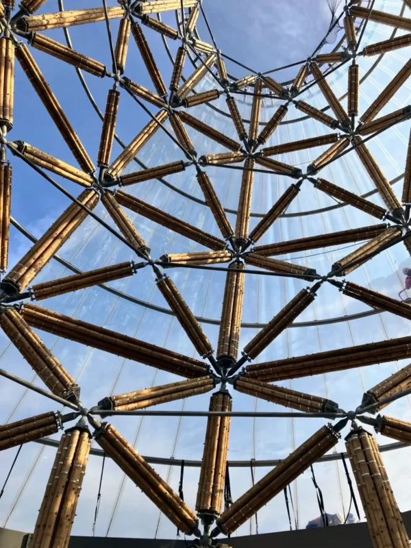 Construction of Guadua Bamboo Tower for Zoo in Belgium