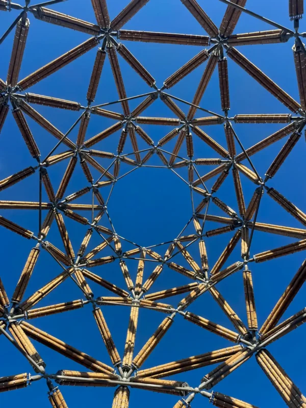 Construction of Guadua Bamboo Tower for Zoo in Belgium