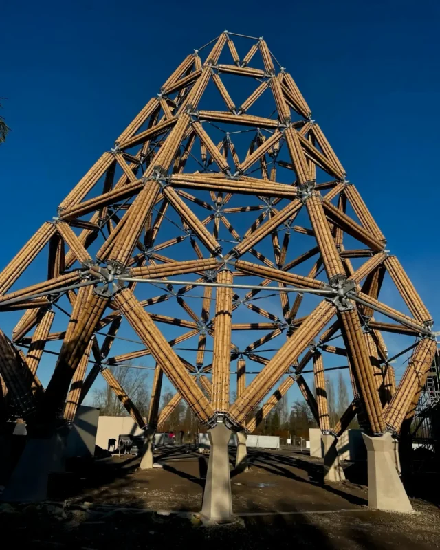 Construction of Guadua Bamboo Tower for Zoo in Belgium