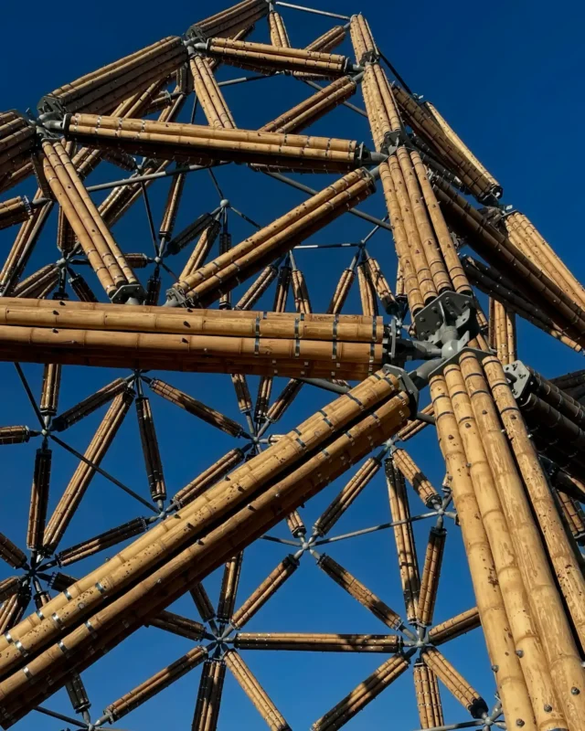 Construction of Guadua Bamboo Tower for Zoo in Belgium