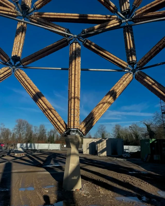 Construction of Guadua Bamboo Tower for Zoo in Belgium