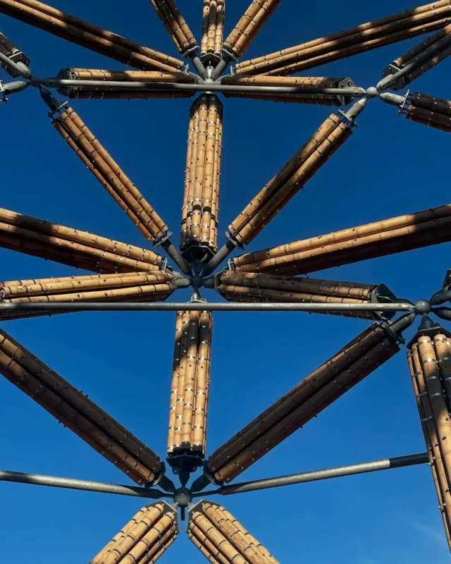 Construction of Guadua Bamboo Tower for Zoo in Belgium