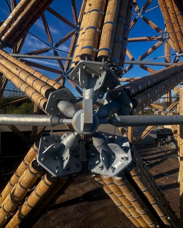 Construction of Guadua Bamboo Tower for Zoo in Belgium