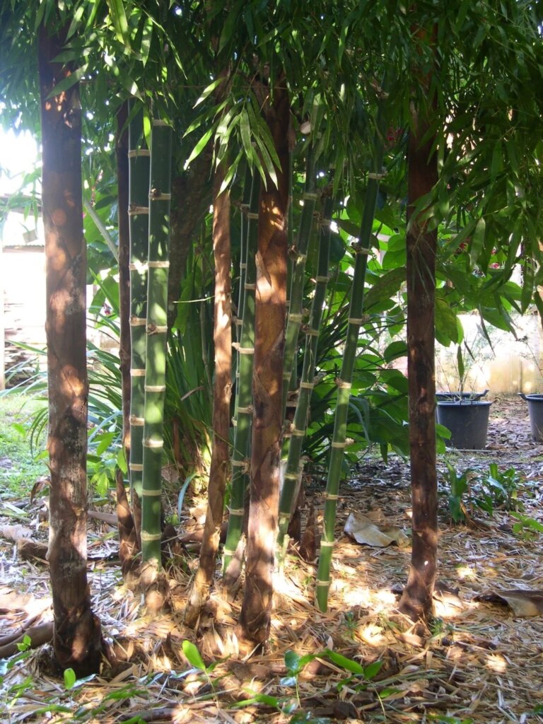 1 year and 10 months