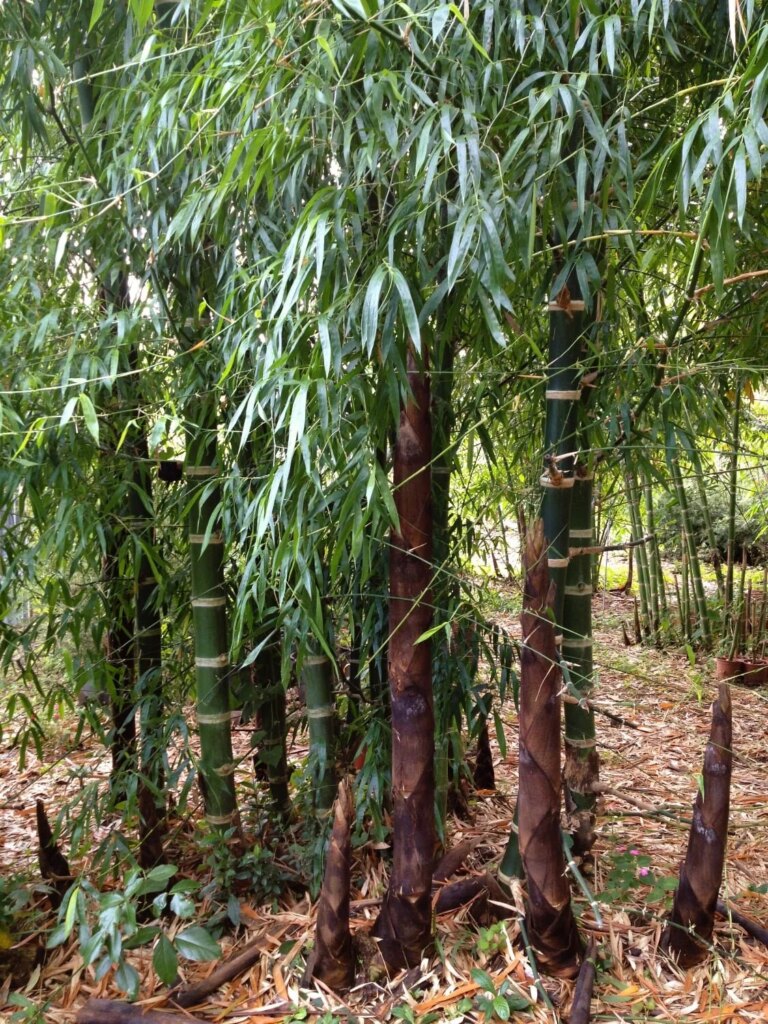 2 years and 7 months