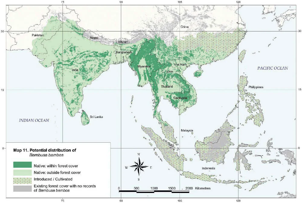 Bambusa bambos Distribution Map Bambusa bambos Distribution Map