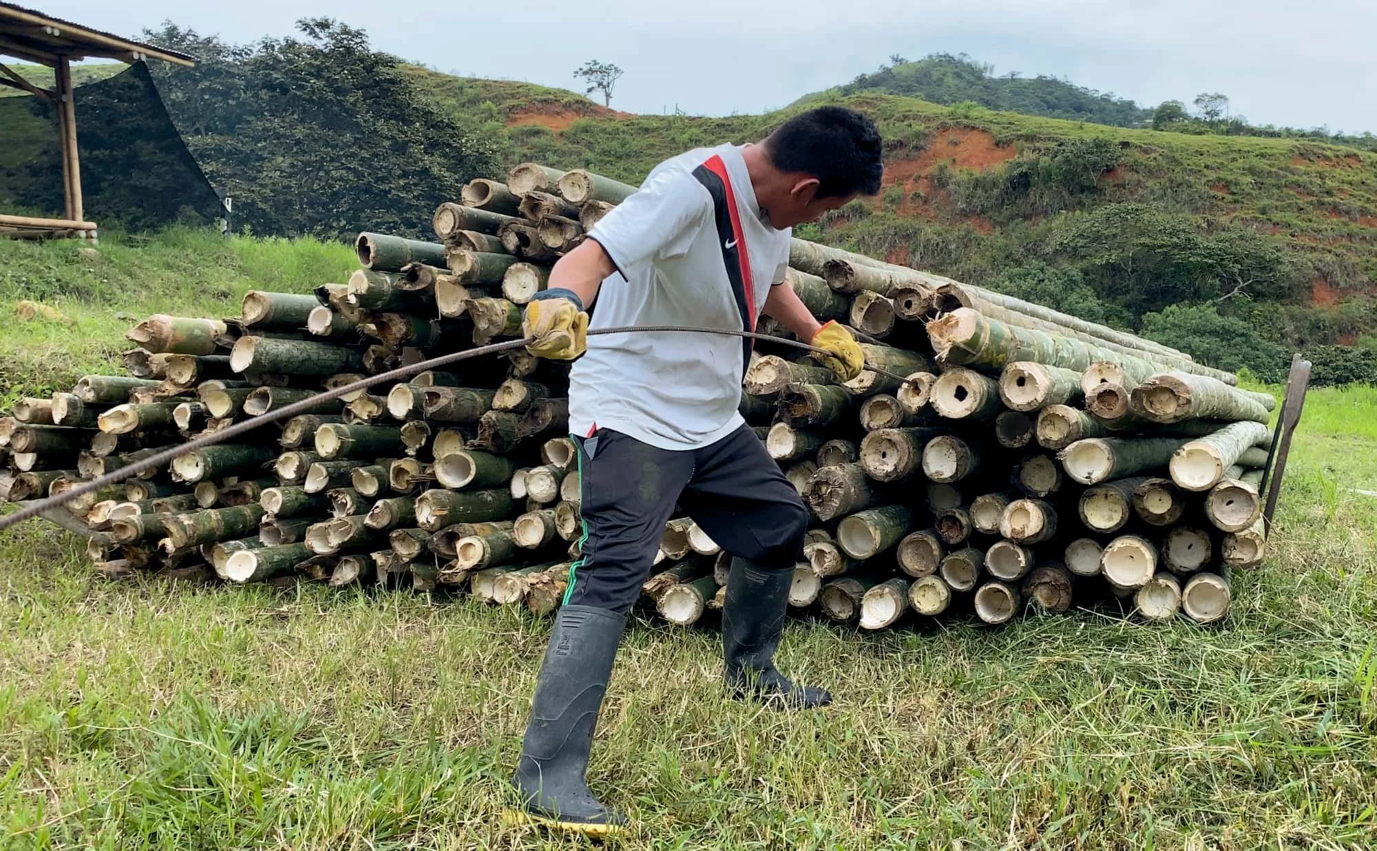 Puncturing Bamboo Poles with Steel Rod