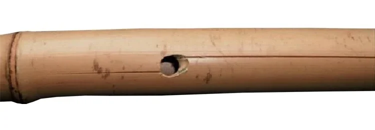 repairing-split-bamboo-1 Bamboo Lashing Manual