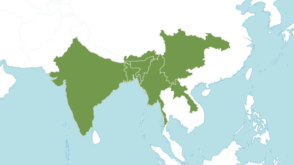 Schizostachyum pergracile distribution map - Source: Kew Science