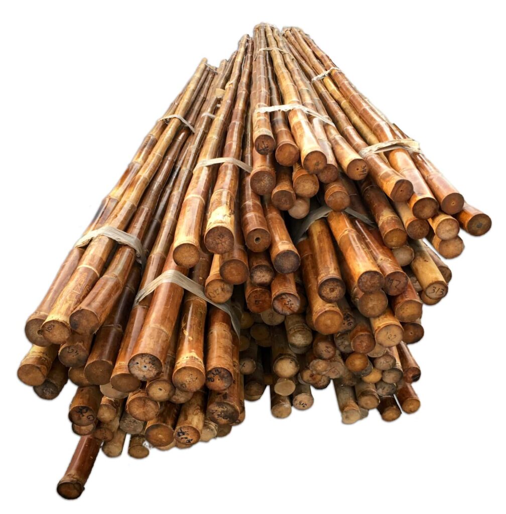 Solid Bamboo Poles - Dendrocalamus strictus Solid Bamboo Poles - Dendrocalamus strictus