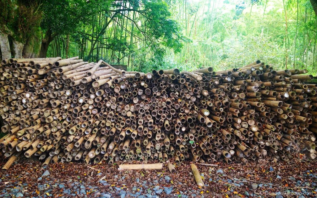 How Durable is Bamboo? 2 How Durable is Bamboo?