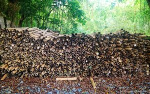 How Durable is Bamboo? 3 How Durable is Bamboo?