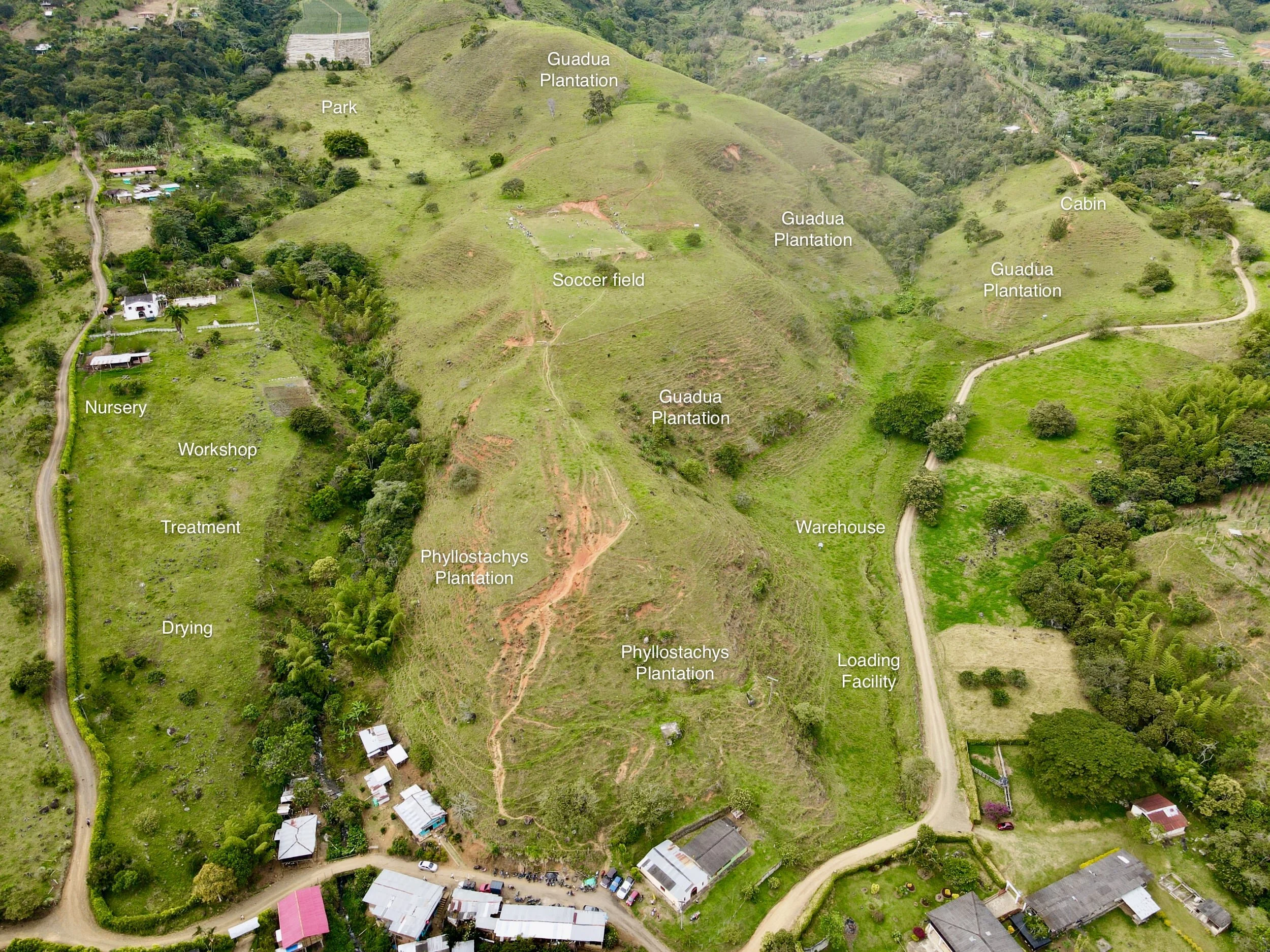 This photo shows the current situation at Hacienda Guadua Bamboo and the impact of deforestation and cattle grazing. Most trees have disappeared and soils have been eroded. To some it may seem as poor neglected land, but to us, it is a great opportunity for a bamboo reforestation intervention.