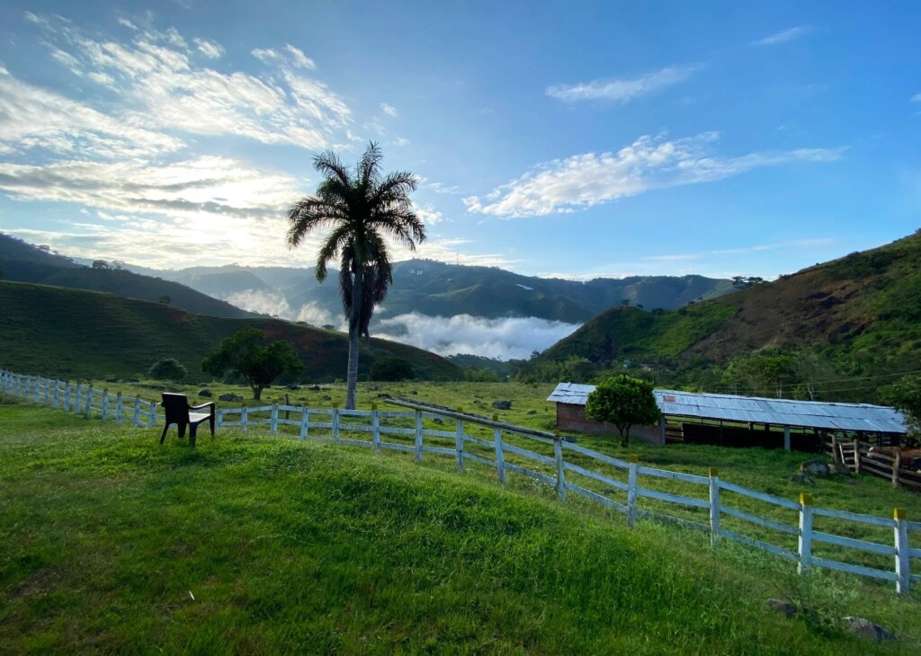 It’s official, we bought a farm and it’s called Hacienda Guadua Bamboo! 10 Hacienda Guadua Bamboo in Colombia Photo by: Stéphane Schröder © www.guaduabamboo.com