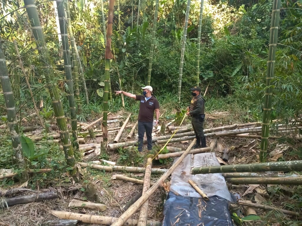 Environmental police stopping “illegal” harvest of bamboo in Colombia. Source: Corporación Autónoma Regional del Quindío