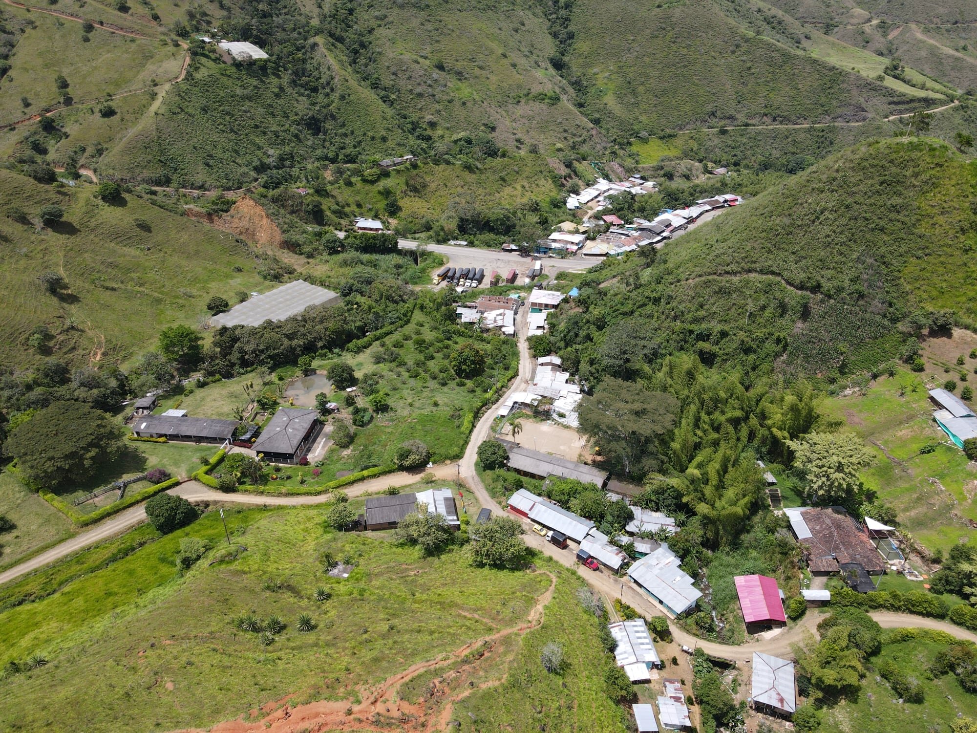 Road Access to Our Farm Photo by: Stéphane Schröder © www.guaduabamboo.com