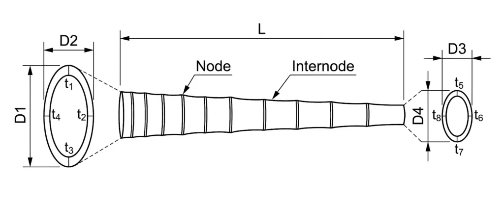 Technical diagram of a bamboo culm showing diameter (D) and wall thickness (t) measurements
