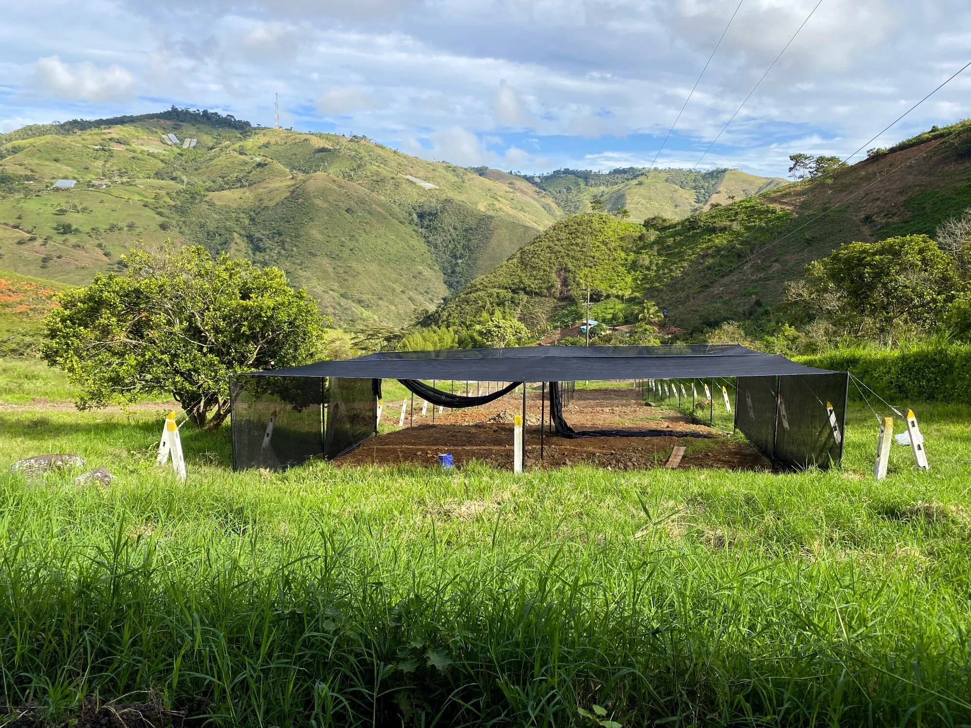 Installing shade netting