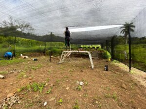 Installing shade netting