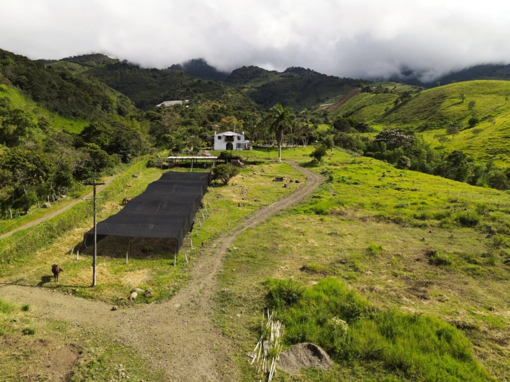 The Building of our Bamboo Nursery in Colombia 7 Finished greenhouse