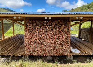Bamboo Processing Facility