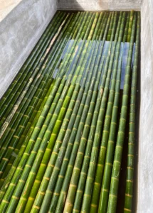 Bamboo Processing Facility