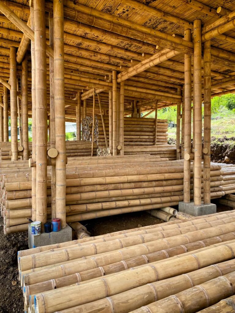 Bamboo Poles