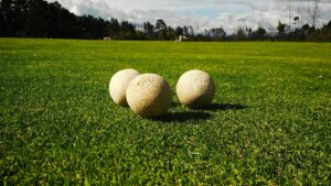 Bamboo Polo Balls 3 Bamboo Polo Balls