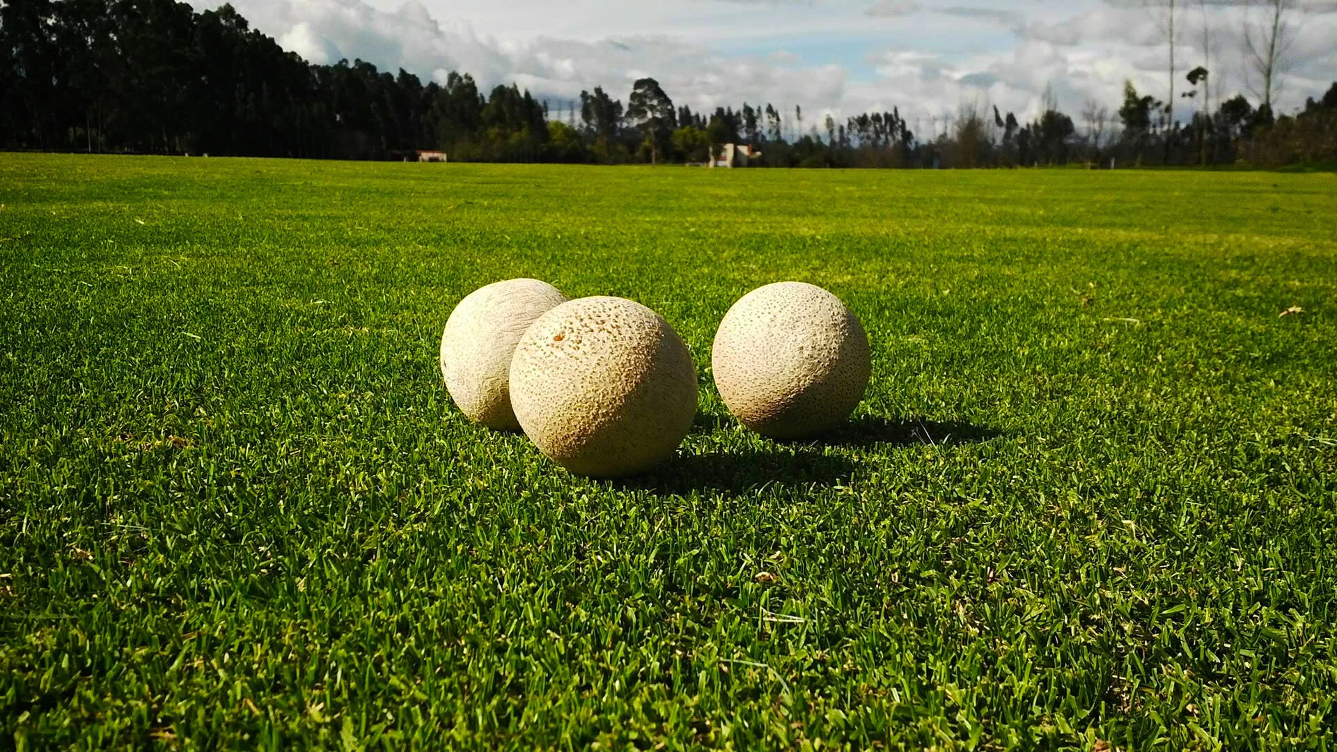Bamboo Polo Balls