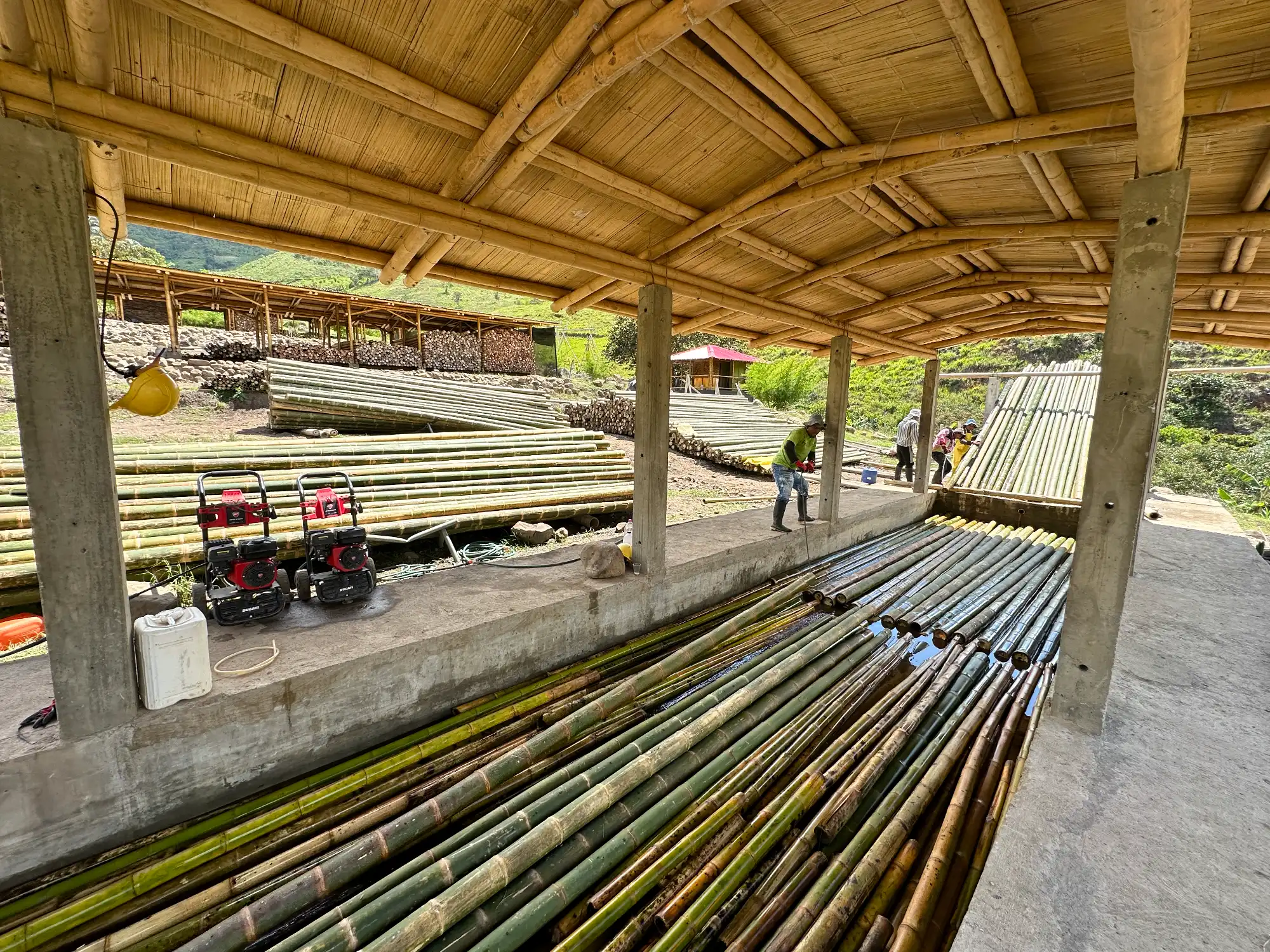 Bamboo Preservation and Treatment - Guadua Bamboo SAS Colombia