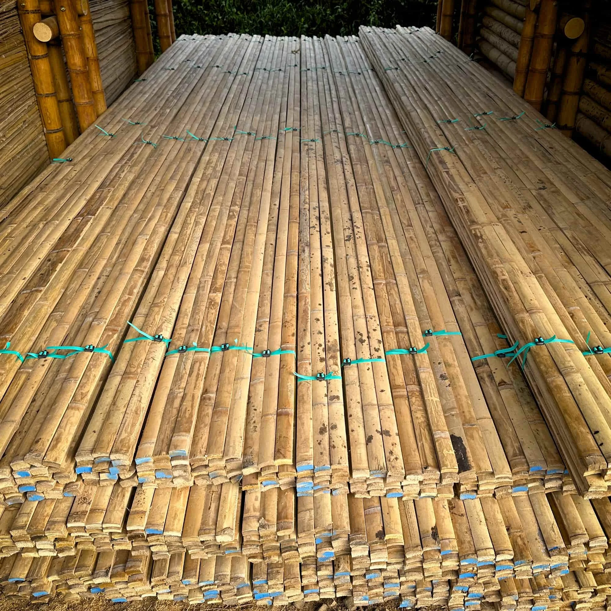 Bamboo Slats