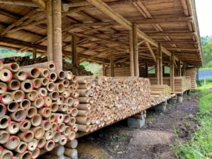 Bamboo Processing Facility