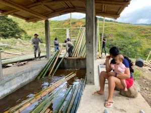 Bamboo Processing Facility