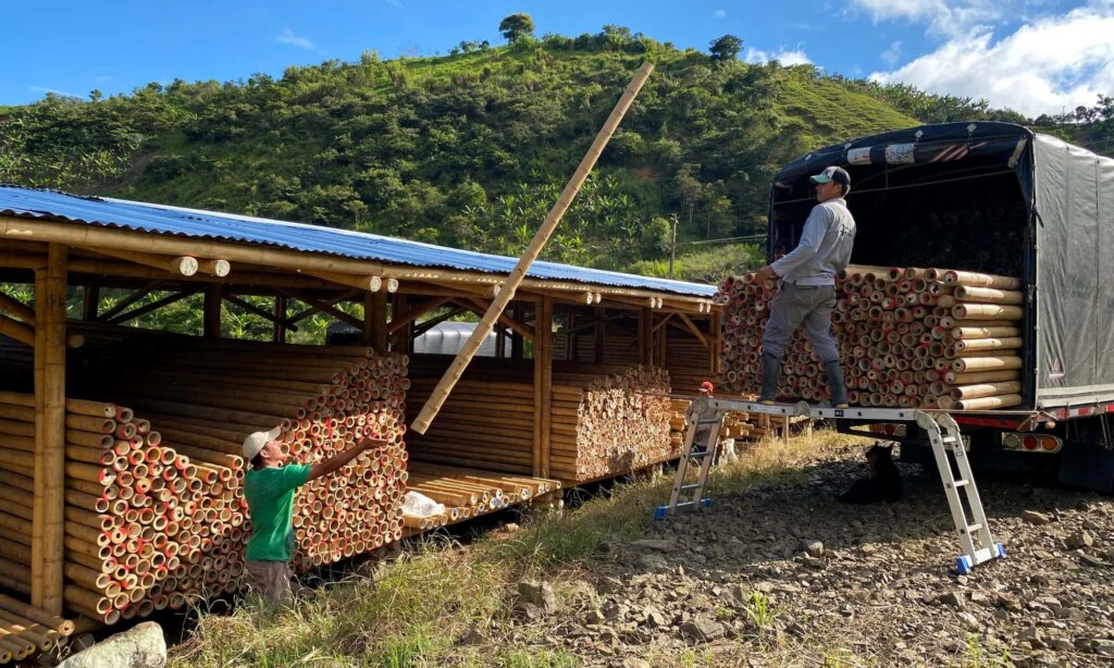 Bamboo Warehouse Colombia