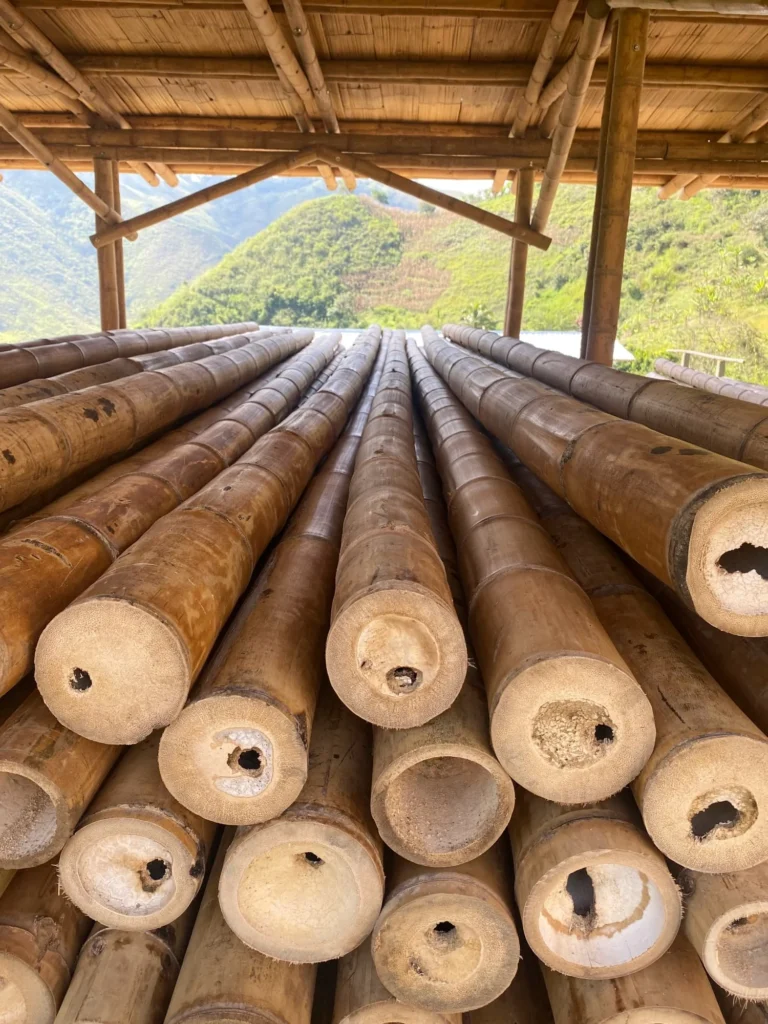 Structural Guadua Bamboo Poles