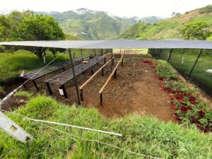 Bamboo nursery tables