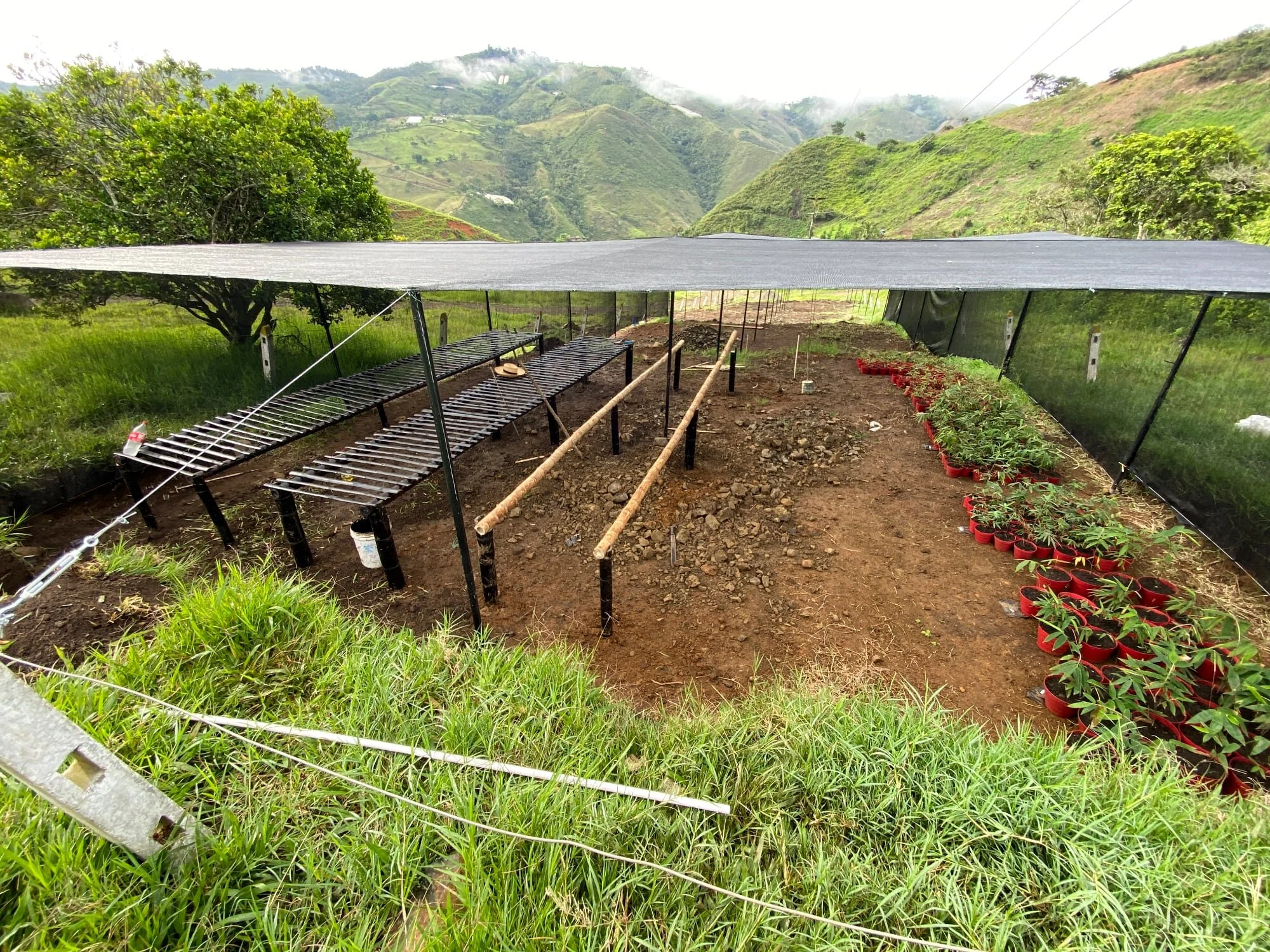 Bamboo nursery tables