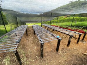 Bamboo nursery tables