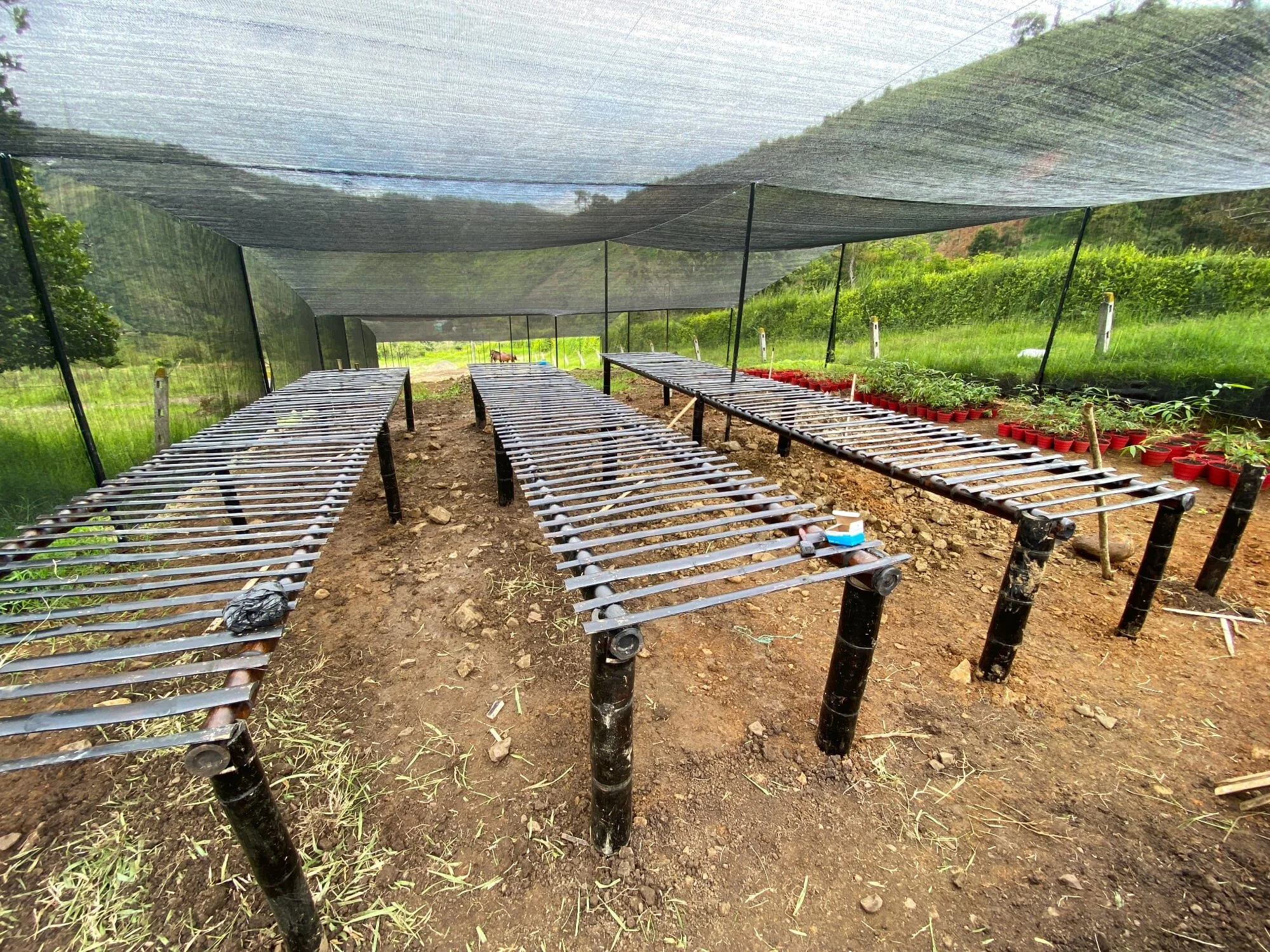 Bamboo nursery tables