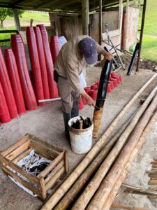 Painting bamboo poles